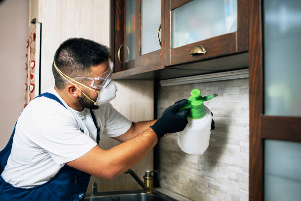 Best Bed Bug Extermination  in Benicia, CA