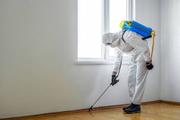 Wildlife Control Services in Benicia, CA