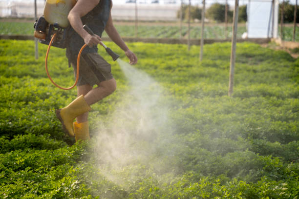 Best Pest Control Treatment  in Benicia, CA