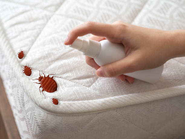 Best Emergency Pest Control  in Benicia, CA