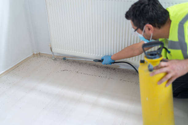 Best Bed Bug Extermination  in Benicia, CA