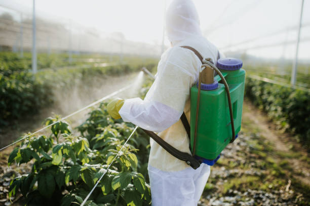 Best Wildlife Control Services  in Benicia, CA